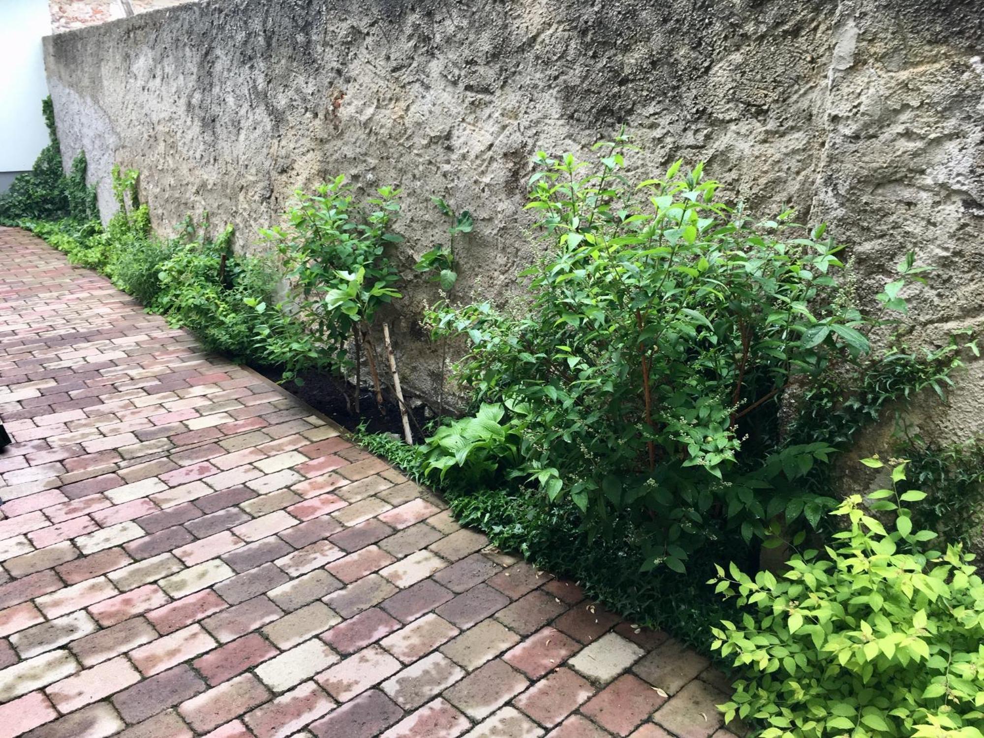Apartmany U Vavrince Sušice Exteriör bild